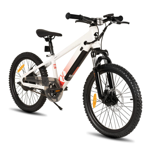 JOYSTAR Electric Bike for Kids & Teens (Ages 7+) – 250W Motor, 15 Miles Range & 15 MPH. Safe & Fun Mini Mountain E-Bike